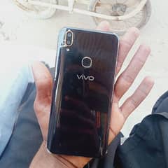 vivo