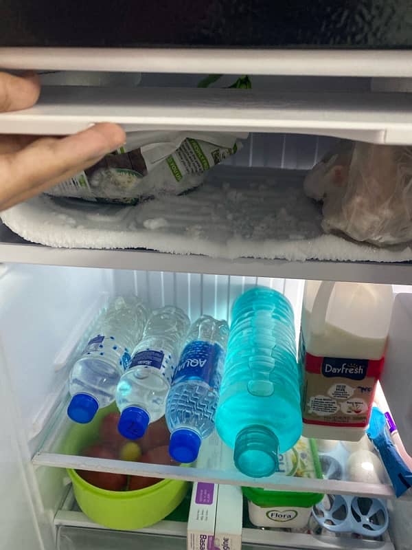 Haier Room Fridge 2