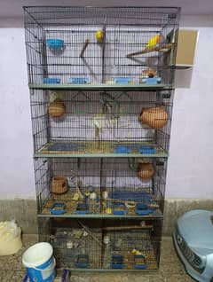 birds cage