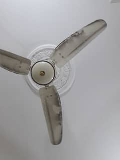 Royal fan pure copper good condition