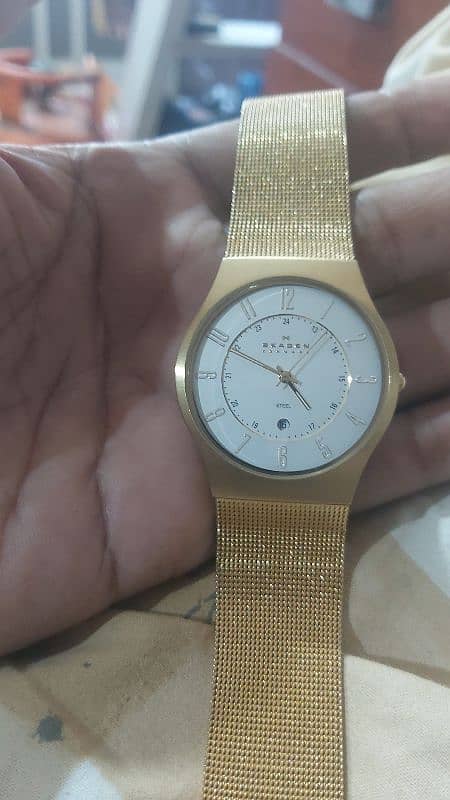 skagen watch 0