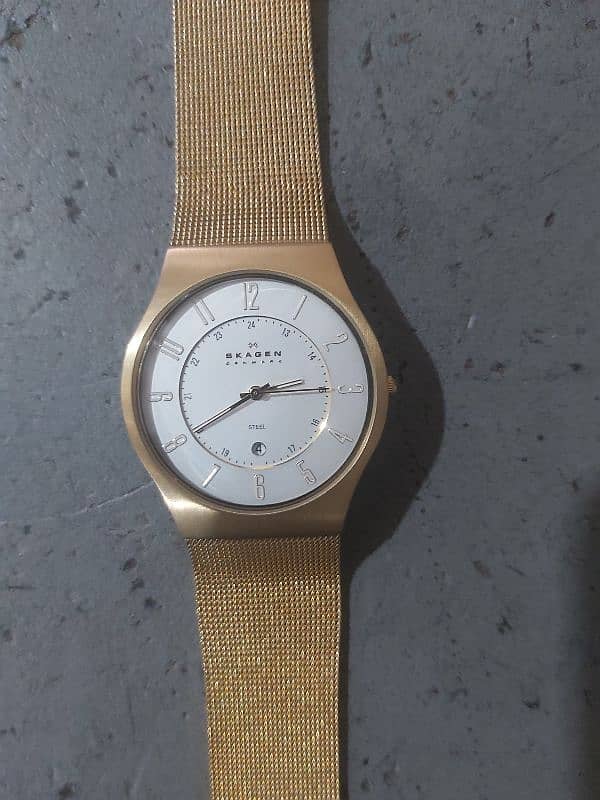 skagen watch 2