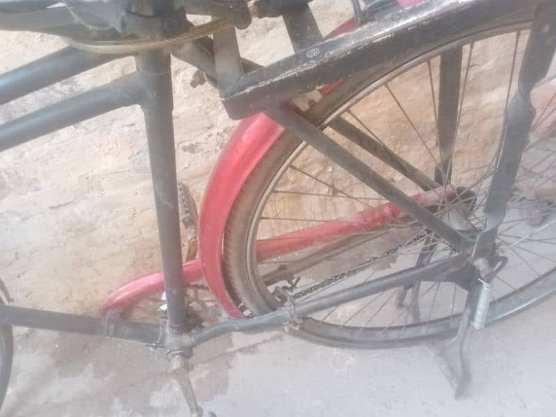 cycle for sale 2