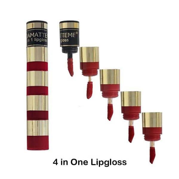 4 in 1 Glossy lips gloss 1