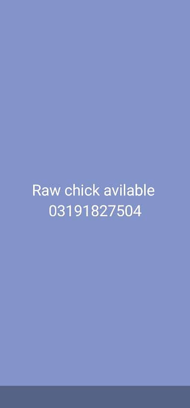 Raw chicks 2