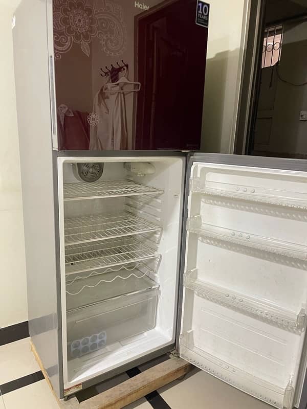 haier refrigerator glassdoor / haier fridge 3