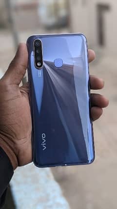 vivo