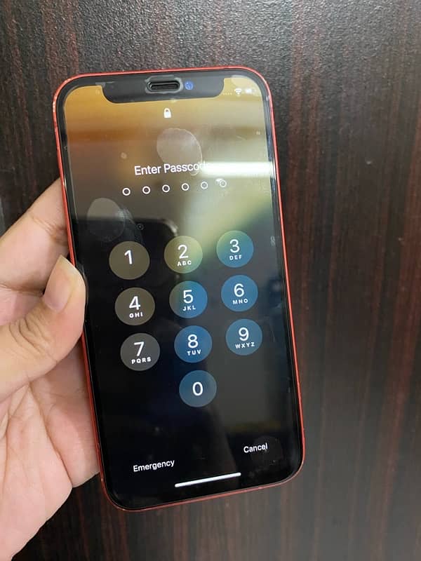 Iphone 11 Mini 3