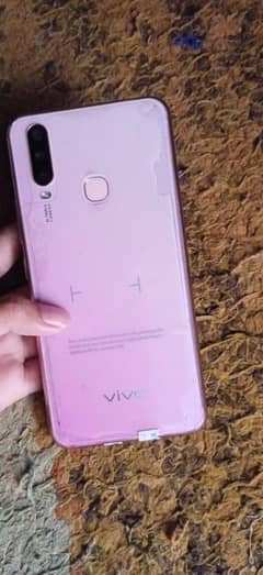 vivo