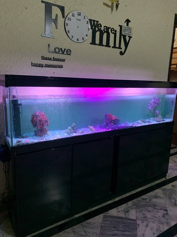 6Ft Fish Aquarium Setup Few Days Used 0