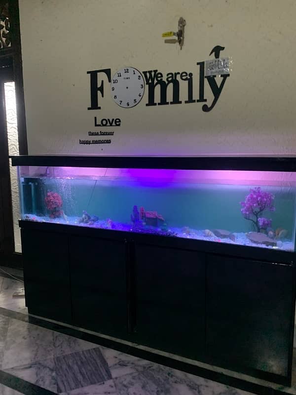 6Ft Fish Aquarium Setup Few Days Used 2