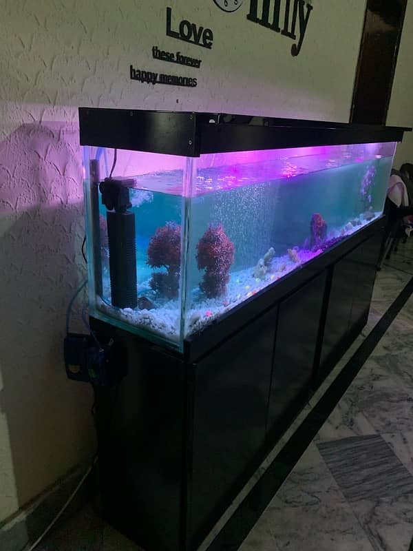 6Ft Fish Aquarium Setup Few Days Used 4