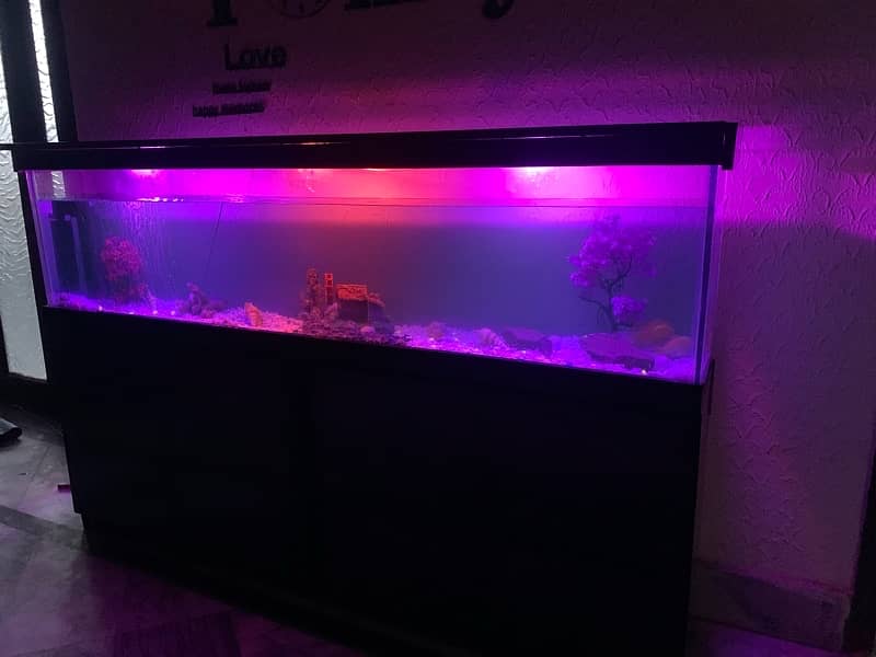 6Ft Fish Aquarium Setup Few Days Used 7