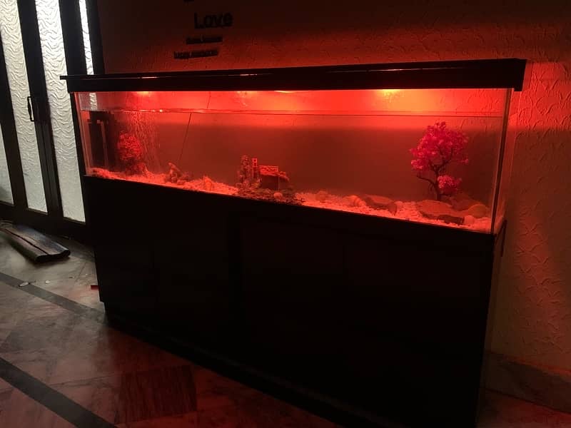 6Ft Fish Aquarium Setup Few Days Used 8