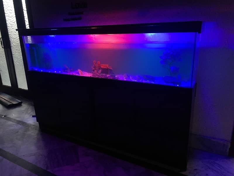 6Ft Fish Aquarium Setup Few Days Used 9