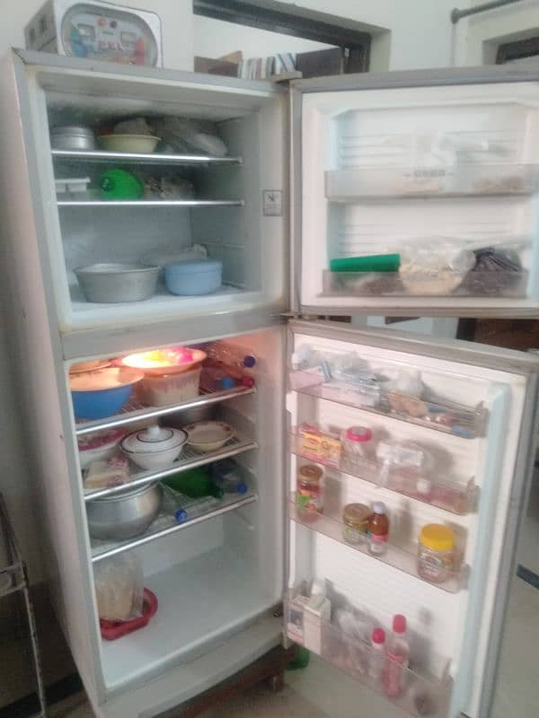 fridge 1