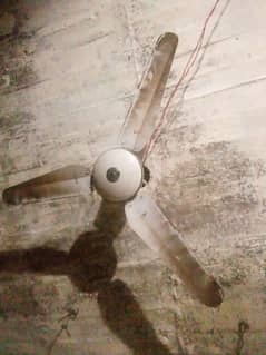 celling fan