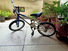 Kid's Bicycle