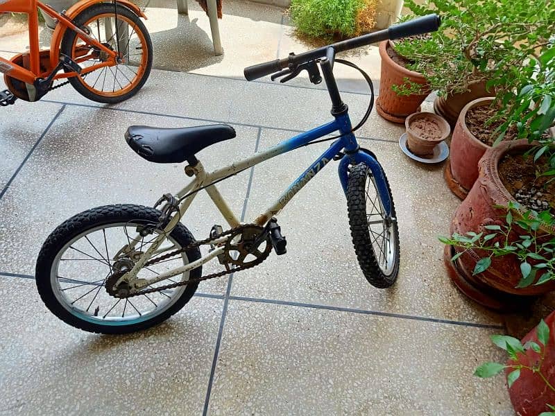 Kid's Bicycle 1