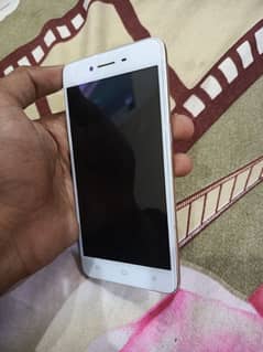 oppo a37