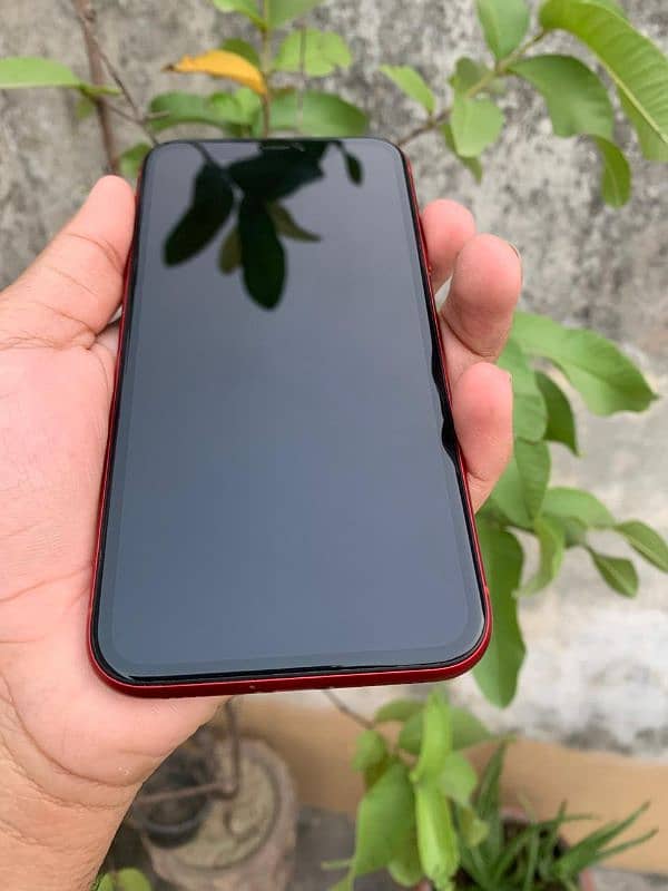 IPHONE XR 64GB 1