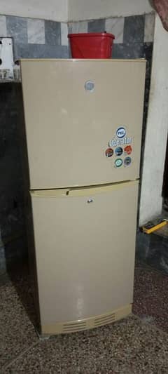 pel medium size fridge