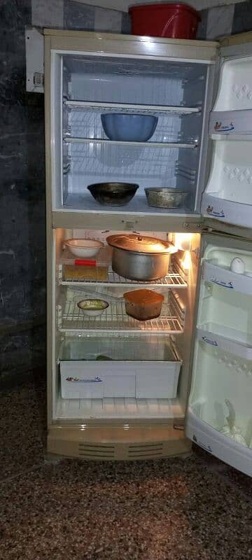 pel medium size fridge 1