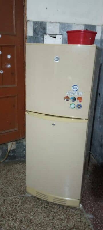 pel medium size fridge 2