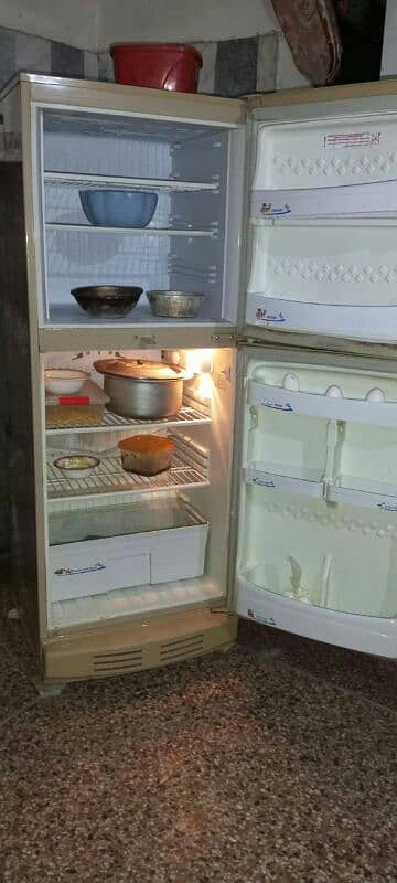 pel medium size fridge 3