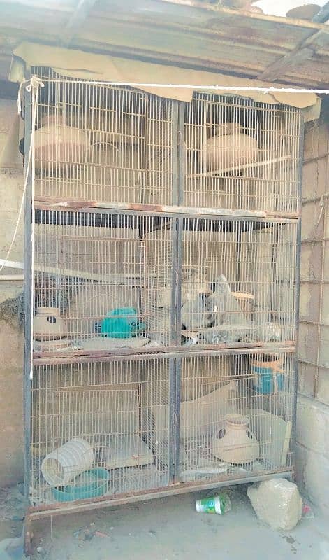 birds cage 0