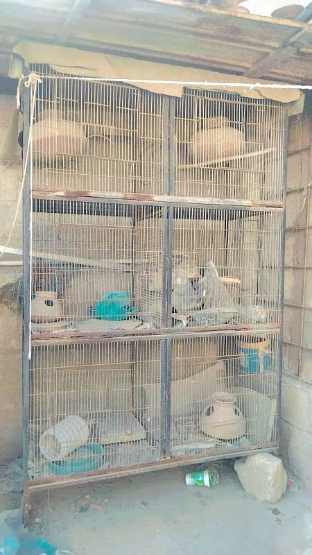 birds cage 1