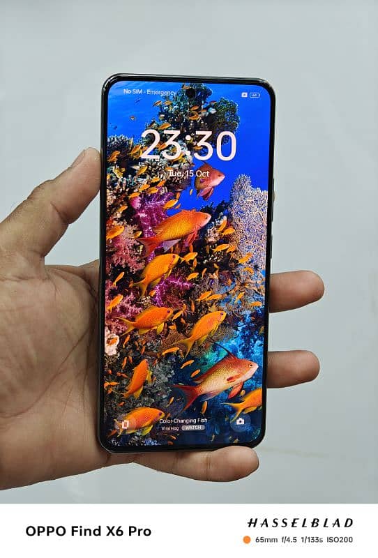 Realme gt5 24W 1