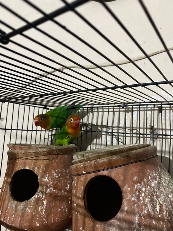 cage end pair for sale 0