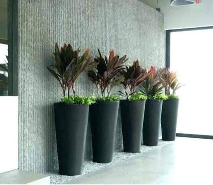 Concrete Pots for Plant 3