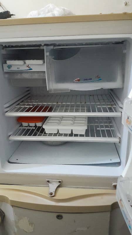 PEL REFRIGERATIR 1