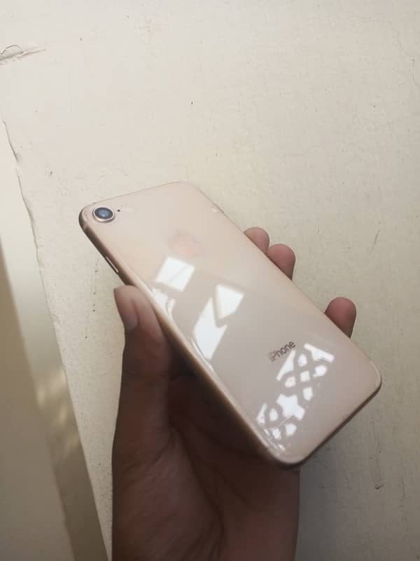 iphone 8 pta approved 11