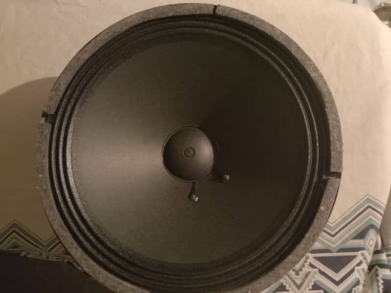 12 inches Felo speaker 1