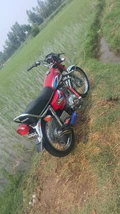 Honda 125 2022