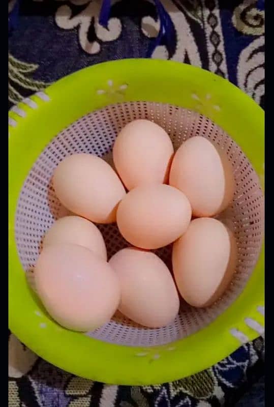 Aseel Lasani and desi eggs 1