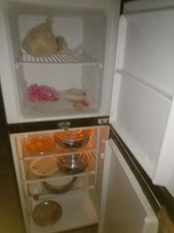 fridge 2