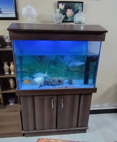 Aquarium