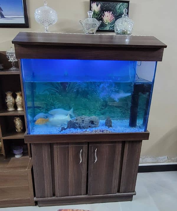 Aquarium for Sale. 1