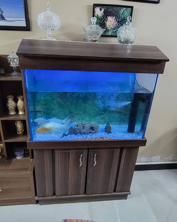 Aquarium for Sale. 2