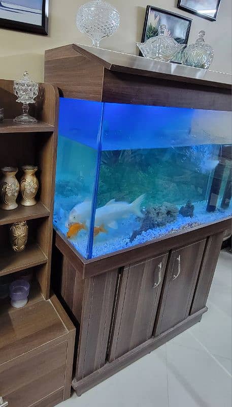 Aquarium for Sale. 3