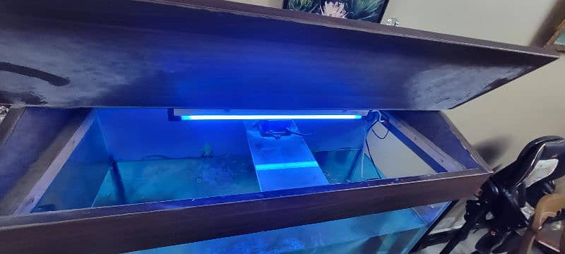 Aquarium for Sale. 5