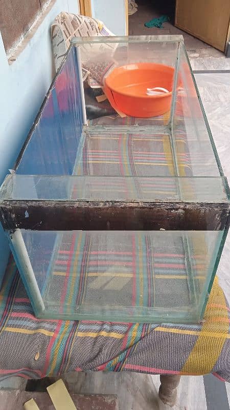 aquarium for sale 4