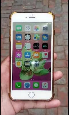 iphone 6 plus 64gb jis  ny lena hai wahi rabta kary only call