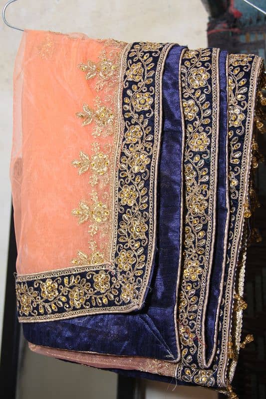 Beautiful Lehnga 4