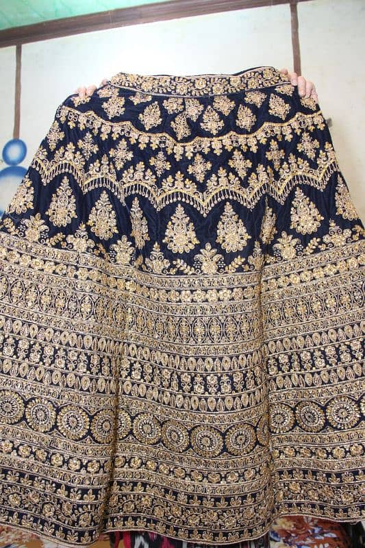 Beautiful Lehnga 8