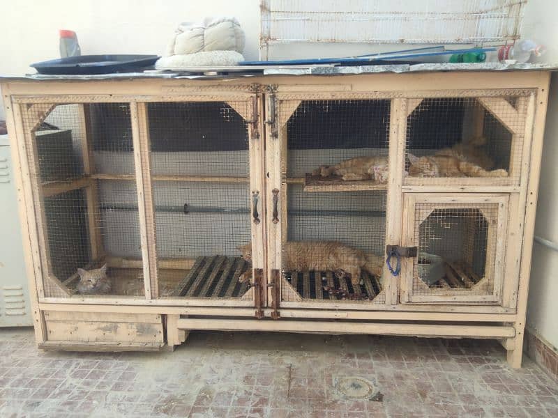 Cat Cage for Sale 0